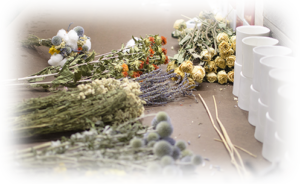 Dried flowers