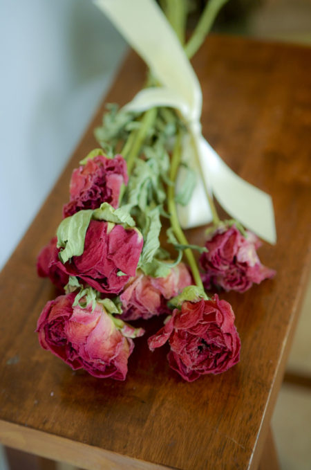 Dried dark coral-pink peony