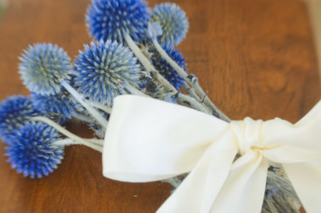 Preserved blue echinops