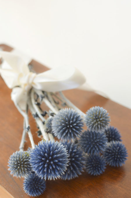 Preserved blue echinops