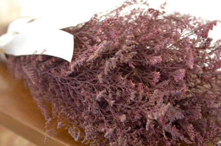 Preserved white-tipped burgundy misty (caspia)