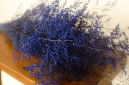 Preserved dark-blue misty (caspia)