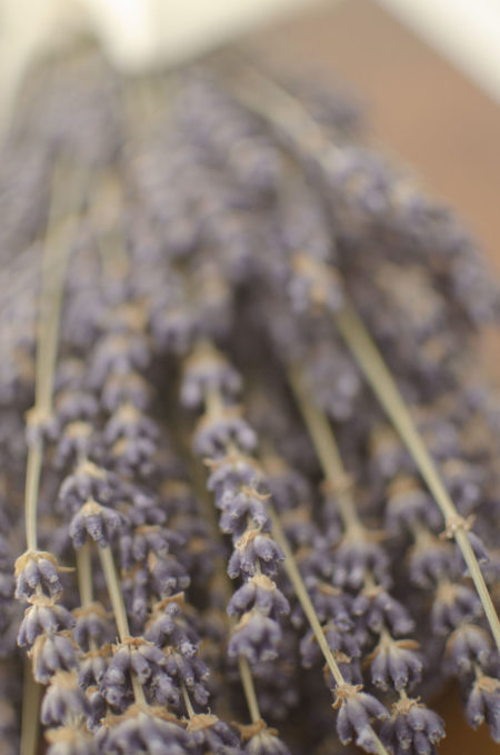 Dried English lavender