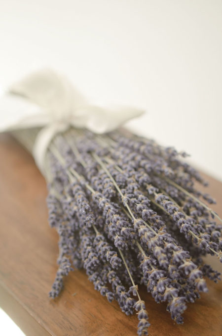 Dried English lavender