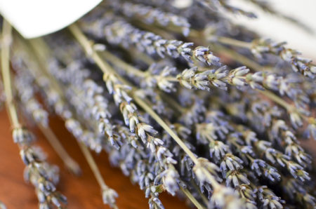 Dried French lavender
