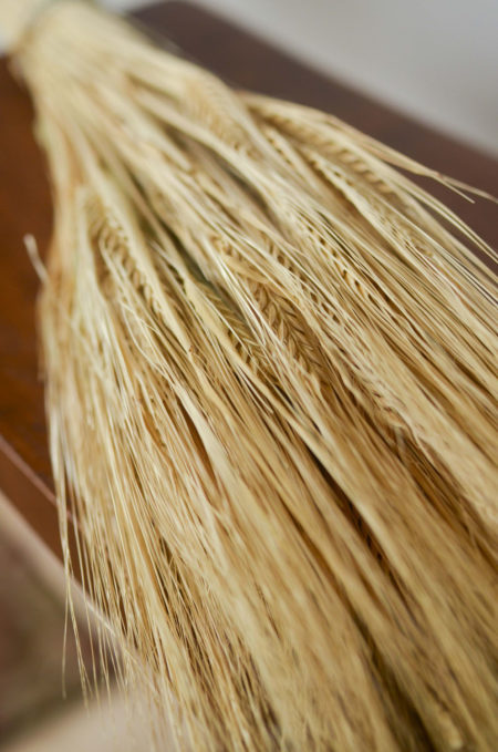 Dried golden barley