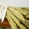 Dried limelight millet