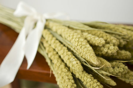 Dried limelight millet