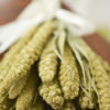 Dried limelight millet