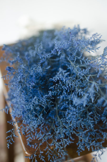 Preserved medium-blue misty (caspia)