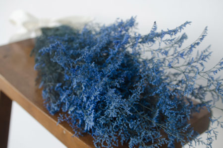 Preserved medium-blue misty (caspia)