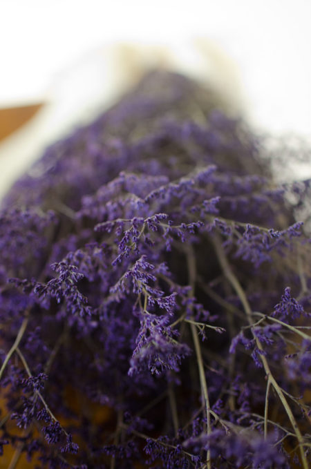 Preserved purple misty (caspia)