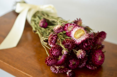 Dried rose strawflower