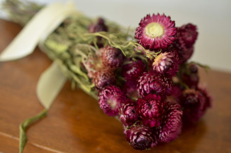 Dried rose strawflower