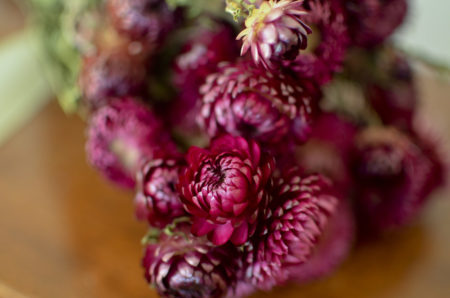 Dried rose strawflower