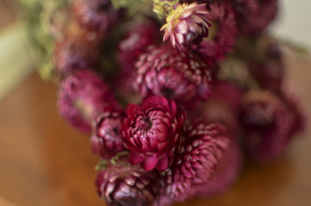 Dried rose strawflower