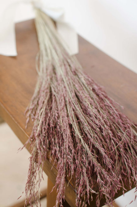 Dried ruby-red silk grass