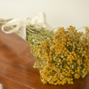 Dried tansy