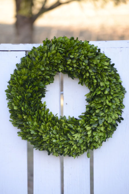 Large preserved boxwood wreath