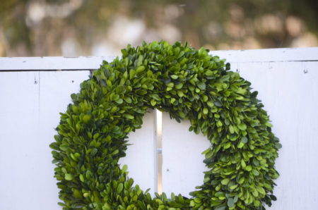 Large preserved boxwood wreath