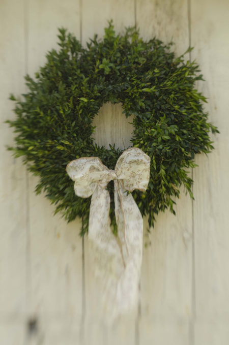 16" fresh boxwood wreath