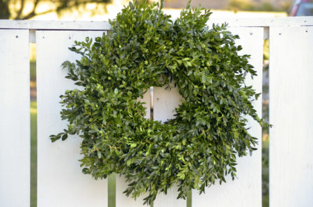 18" fresh boxwood wreath