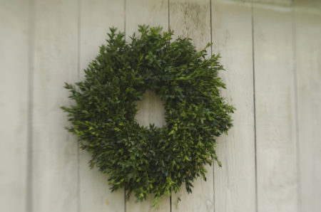 20" fresh boxwood wreath