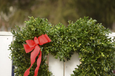 30" heart-shaped fresh boxwood wreath