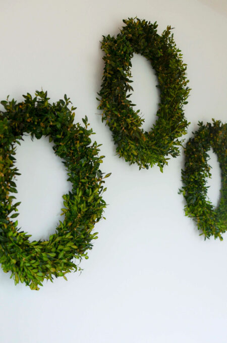 Uses for fresh boxwood greenery