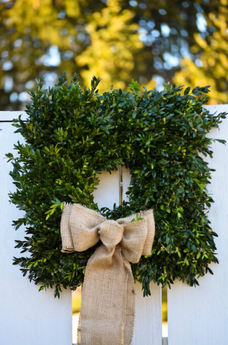 Uses for fresh boxwood greenery