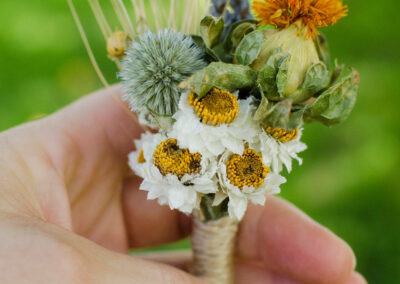 Arrangement using dried echinops