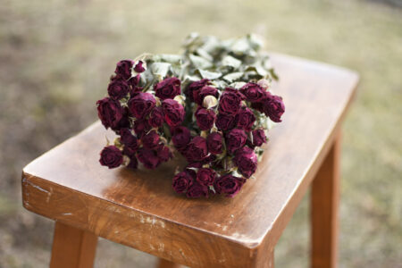Bunch of dried burgundy roses