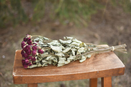 Bunch of dried burgundy roses