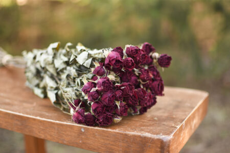 Bunch of dried burgundy roses