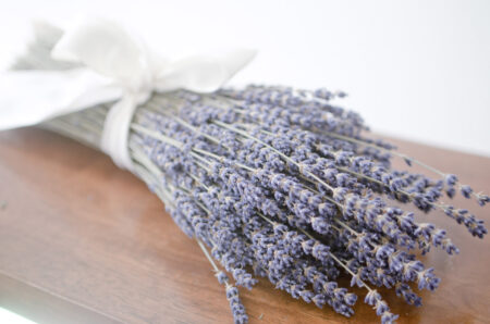 Bunch of dried English lavender