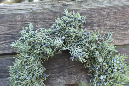 Fresh berried juniper wreath for Christmas or other winter decor