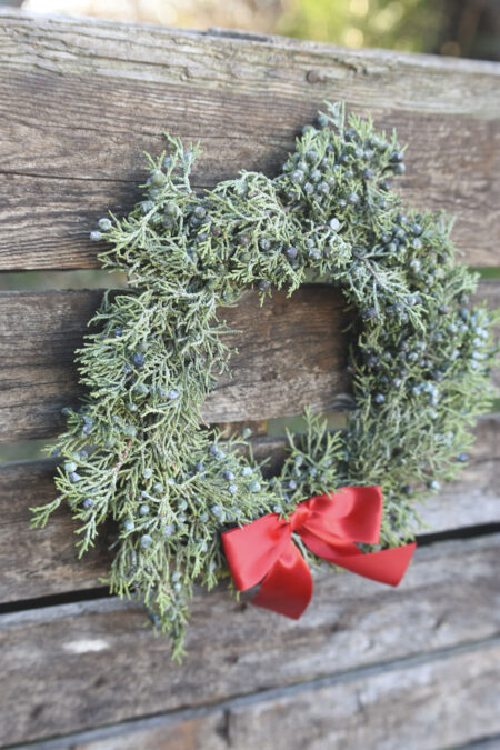 Fresh berried juniper wreath for Christmas or other winter decor