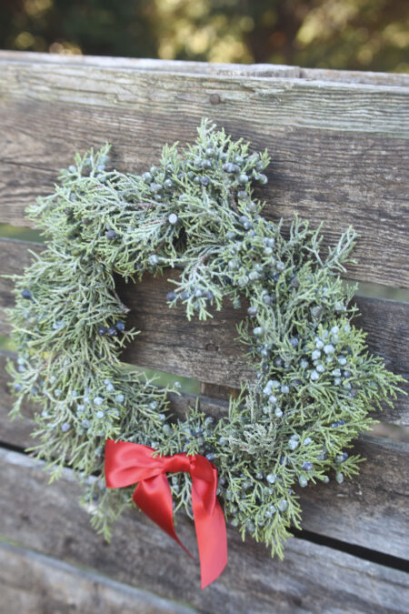 Fresh berried juniper wreath for Christmas or other winter decor