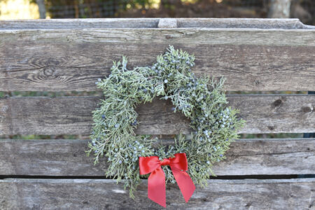 Fresh berried juniper wreath for Christmas or other winter decor