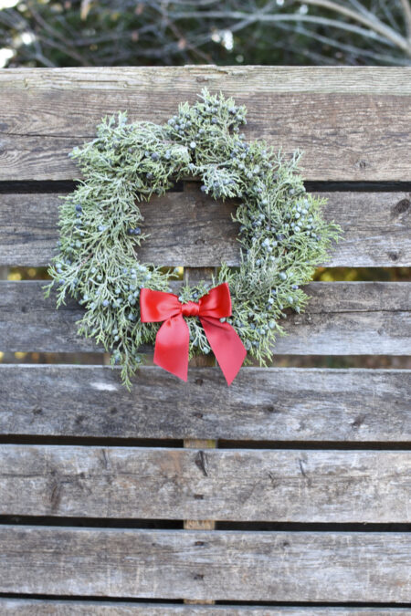 Fresh berried juniper wreath for Christmas or other winter decor