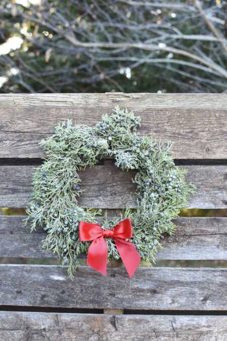 Fresh berried juniper wreath for Christmas or other winter decor