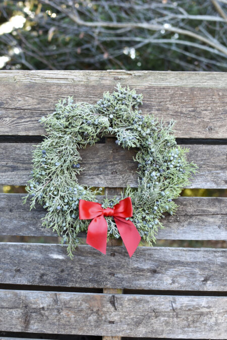 Fresh berried juniper wreath for Christmas or other winter decor