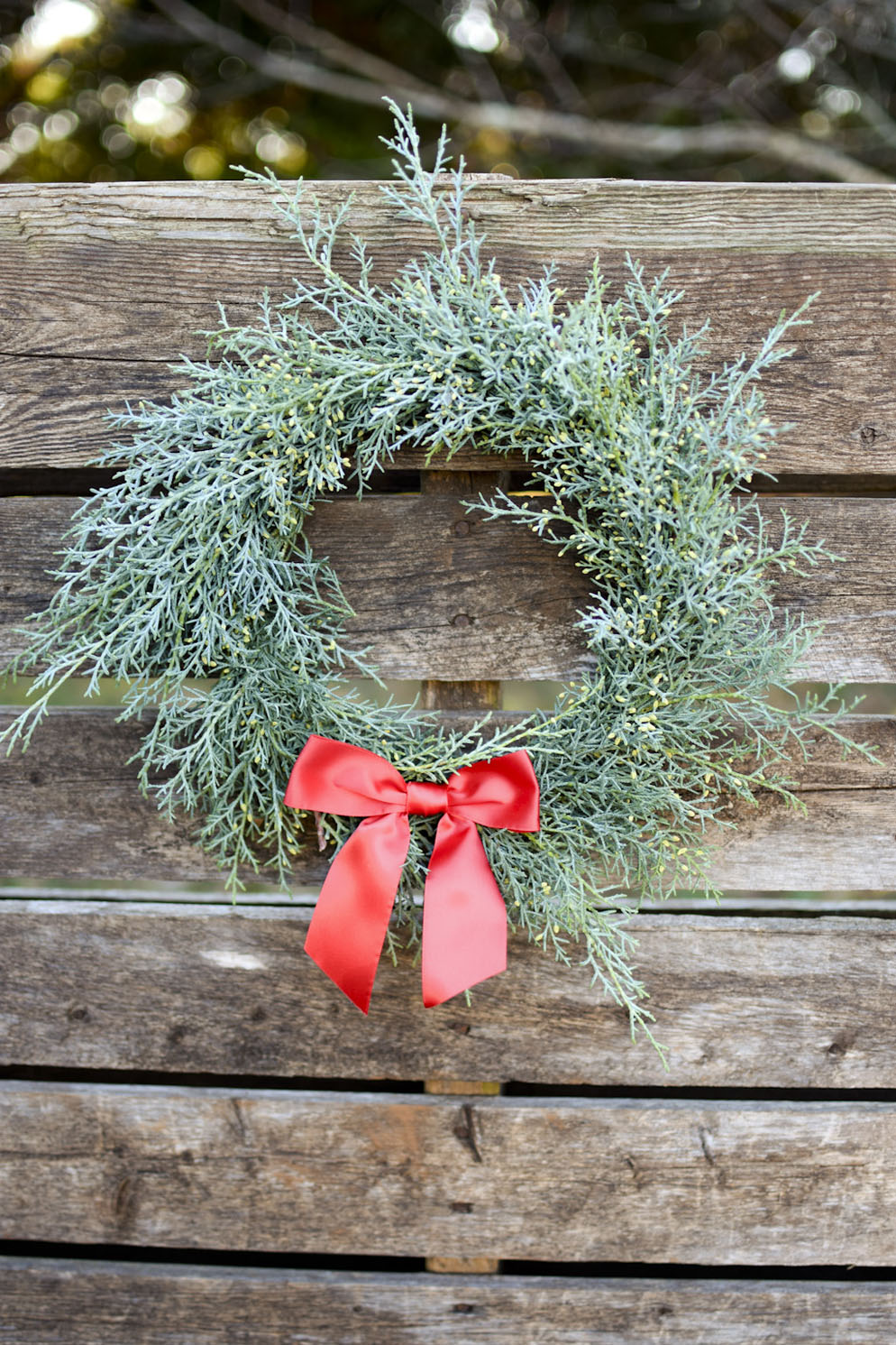 Fresh Carolina Sapphire Cypress Wreath | The Blaithin Blair Shop
