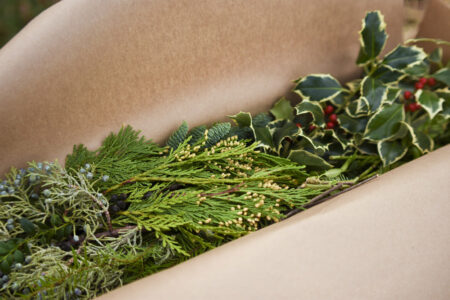 Gift box of mixed fresh Christmas greenery