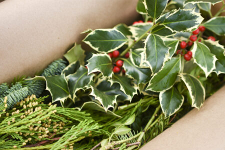 Gift box of mixed fresh Christmas greenery