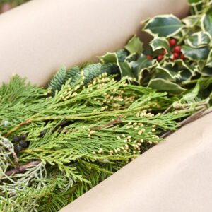 Gift box of mixed fresh Christmas greenery