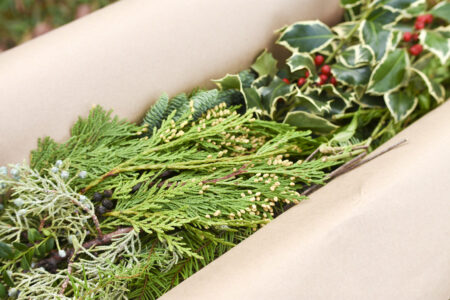 Gift box of mixed fresh Christmas greenery