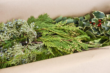 Gift box of mixed fresh Christmas greenery