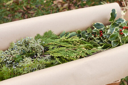 Gift box of mixed fresh Christmas greenery