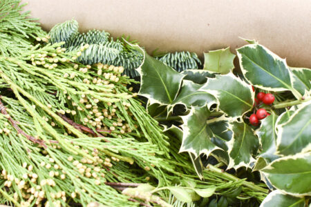 Gift box of mixed fresh Christmas greenery